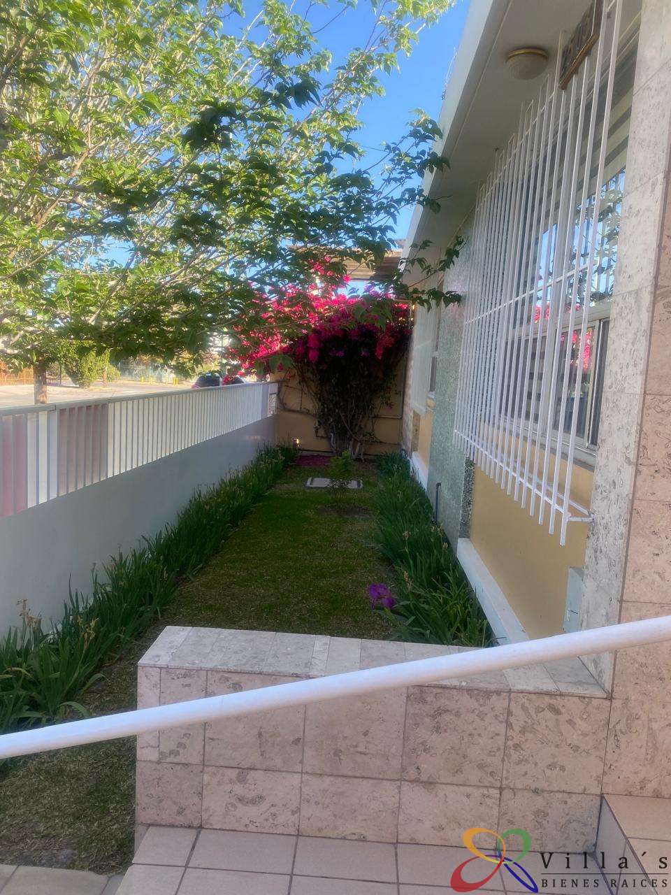 el jardin de enfrentre.jpeg